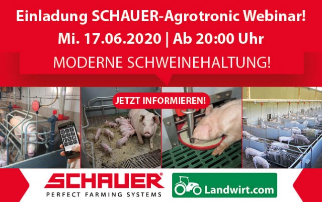 17 Juni um 20 Uhr Webinar "Moderne Schweinehaltung"